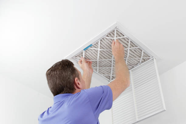 Best Home Air Vent Cleaning  in French Mp, CA